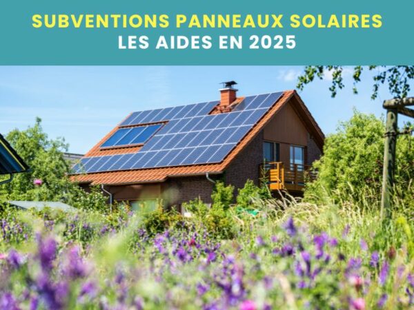 Un toit de maison avec des panneaux solaires DOMOSOLARIS en arrière plan d'un champ aux fleurs violettes.